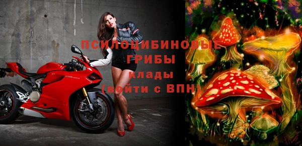 apvp Белоозёрский