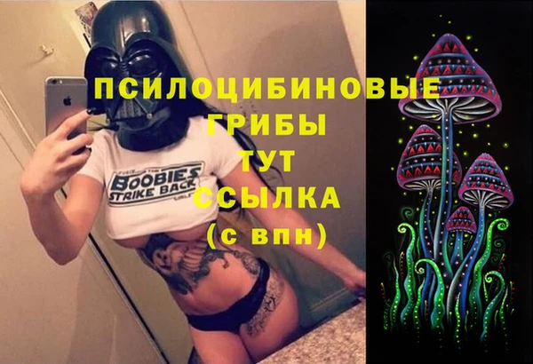 каннабис Беломорск