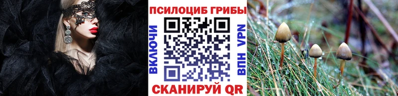 где найти наркотики Видное Псилоцибиновые грибы ЛСД